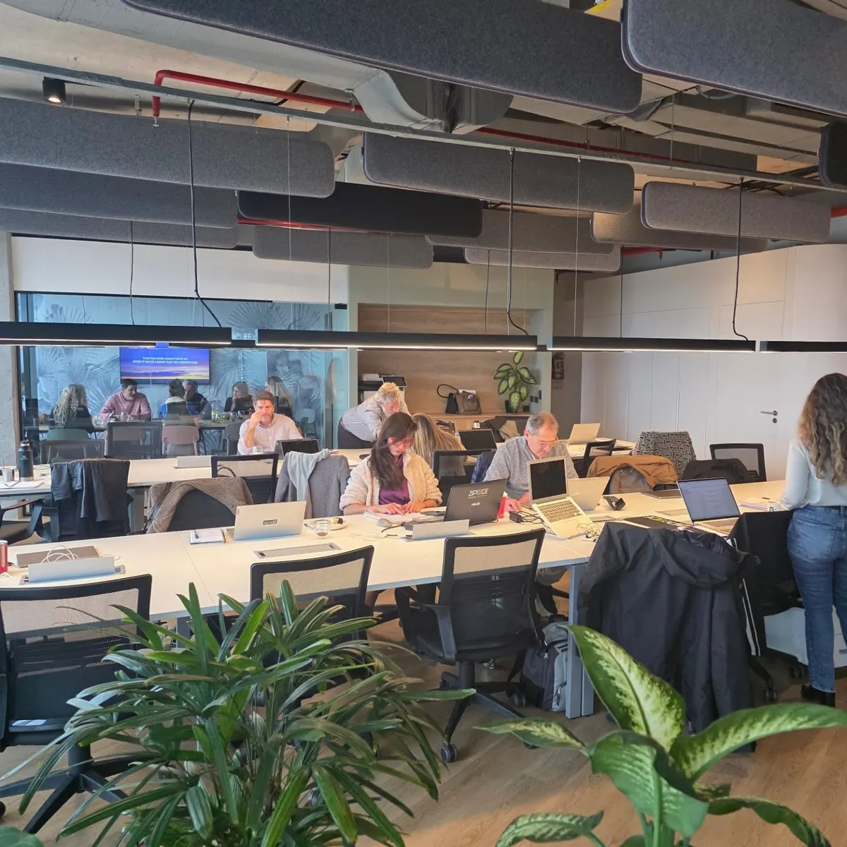 El equipo trabajando en la oficina de Zipcode