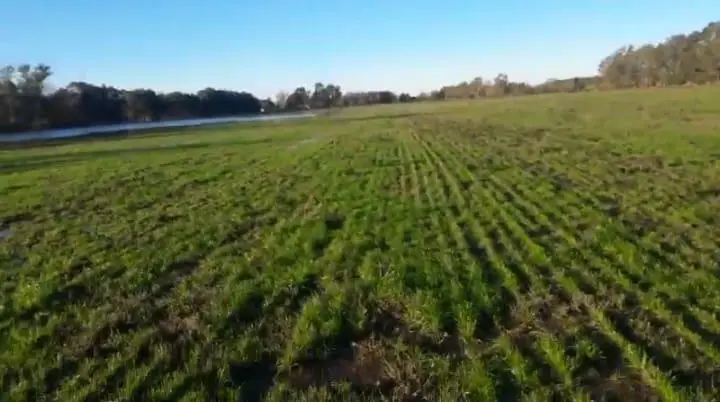 Lote en General Rodríguez, foto 1
