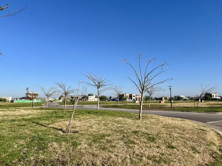 Lote en Bella Vista, foto 1