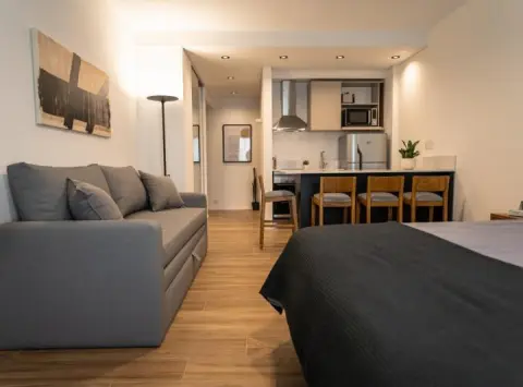 Departamento de 1 dormitorio en Belgrano C, alquiler temporario